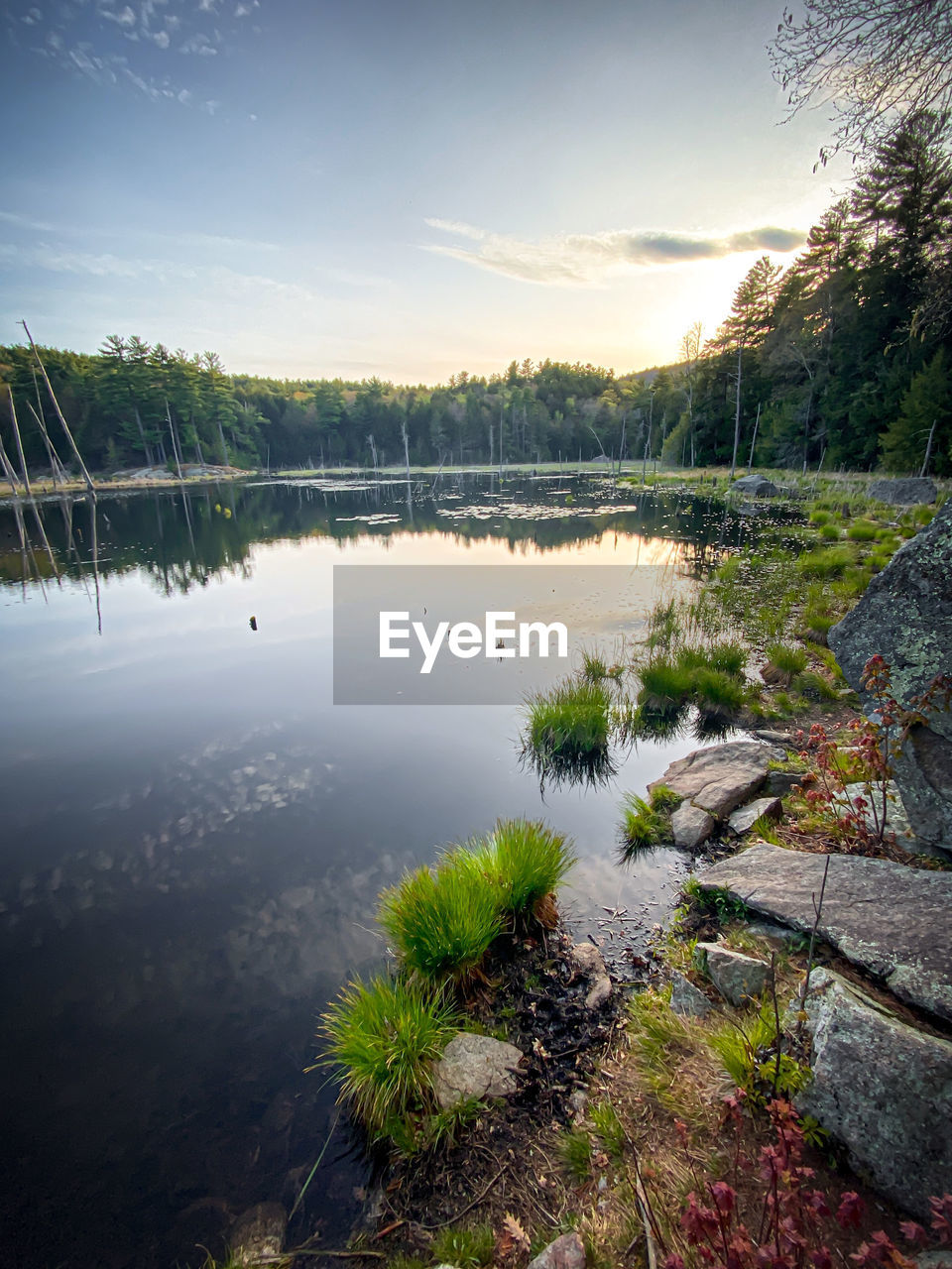 SCENIC VIEW OF LAKE BY TREES AGAINST SKY