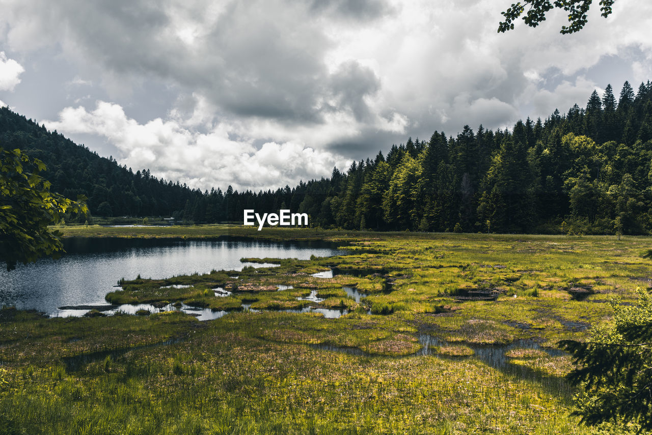 Scenic view of lake in forest against cloudy sky