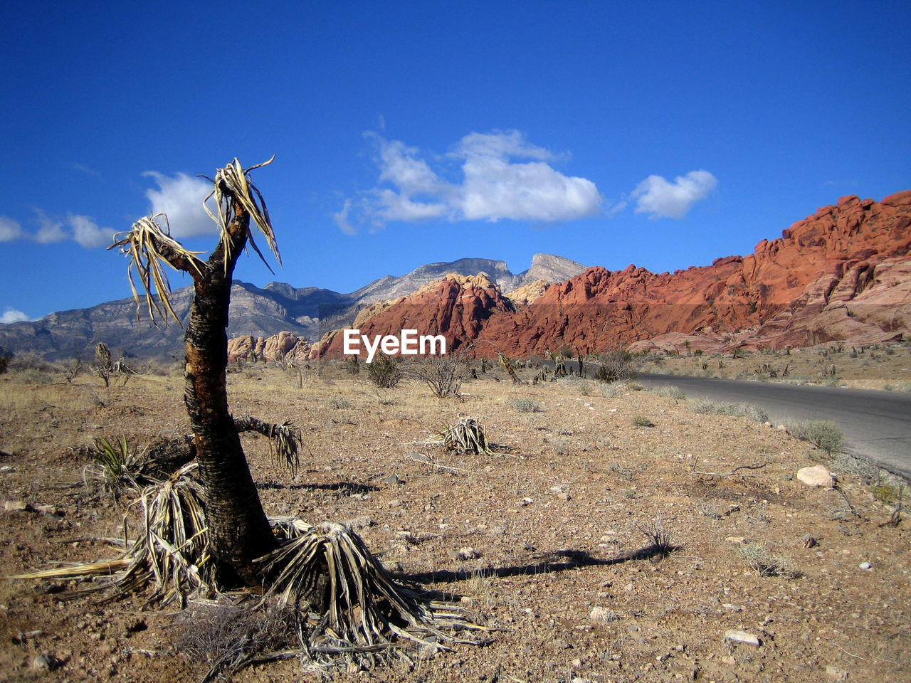 Scenic view of landscape and mountains against blue sky