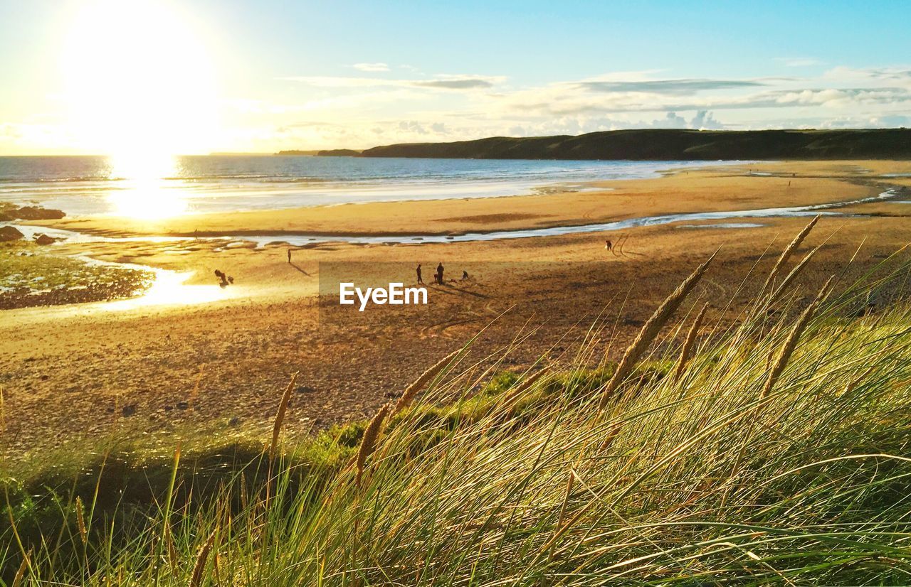 Scenic view of beach at sunset