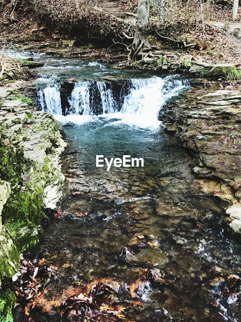 WATERFALL IN FOREST