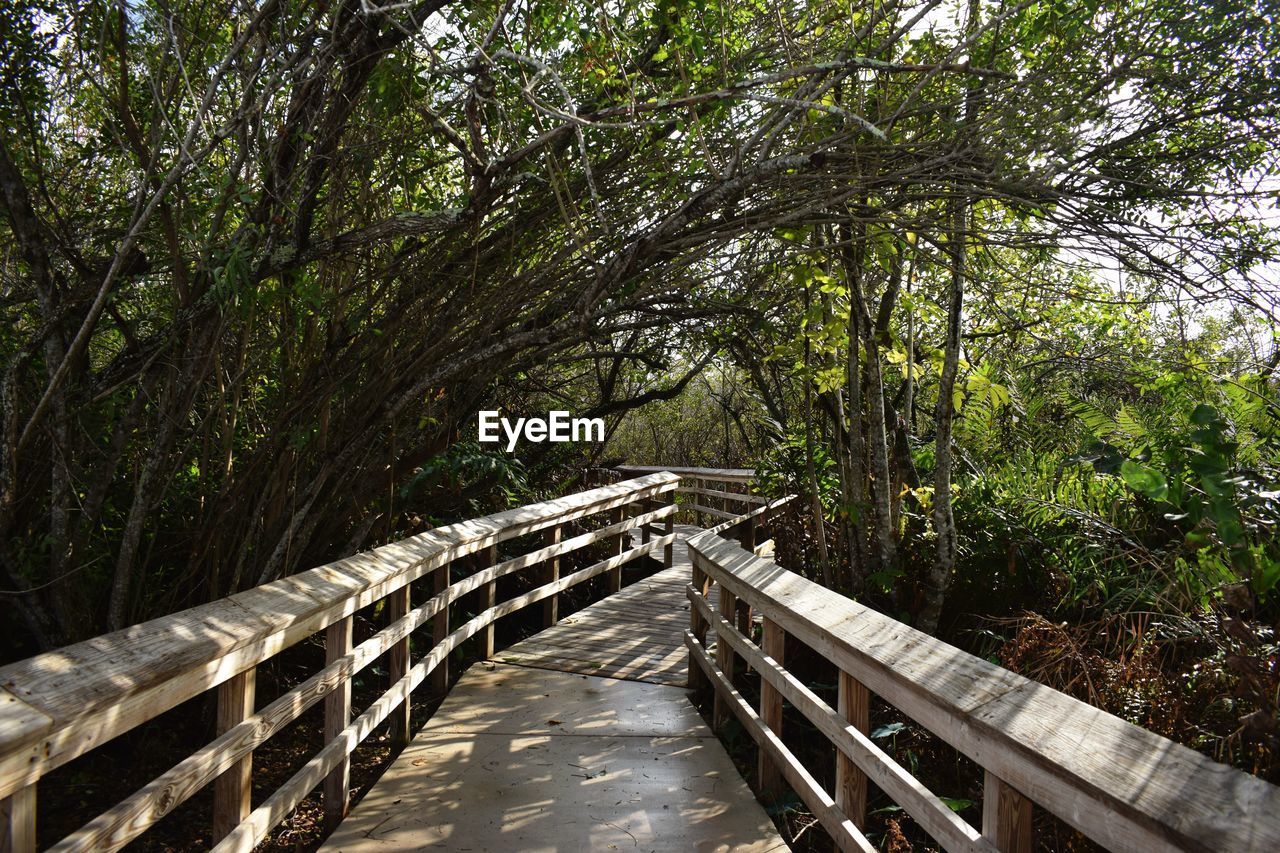 Pathway though national park in florida
