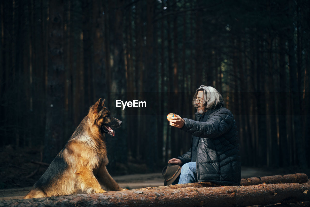 Side view of man sitting in a tree trunk near coniferous trees with domestic dog in sunny day