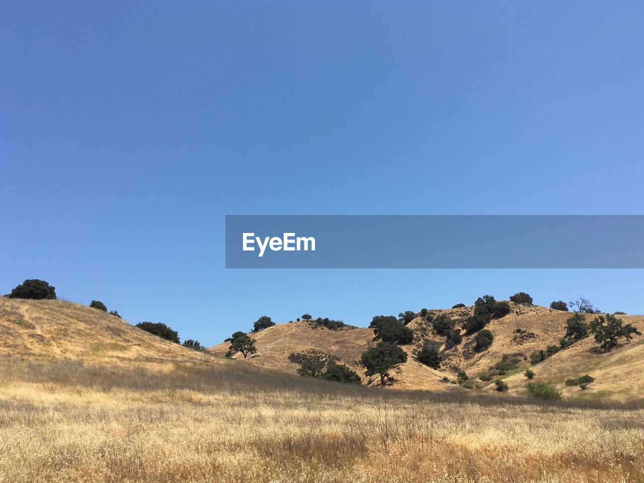 Scenic view of landscape against clear blue sky