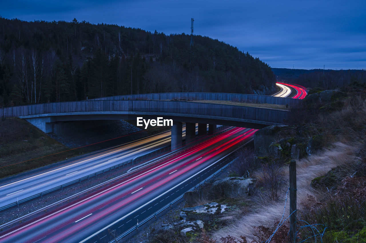 Light trail on road