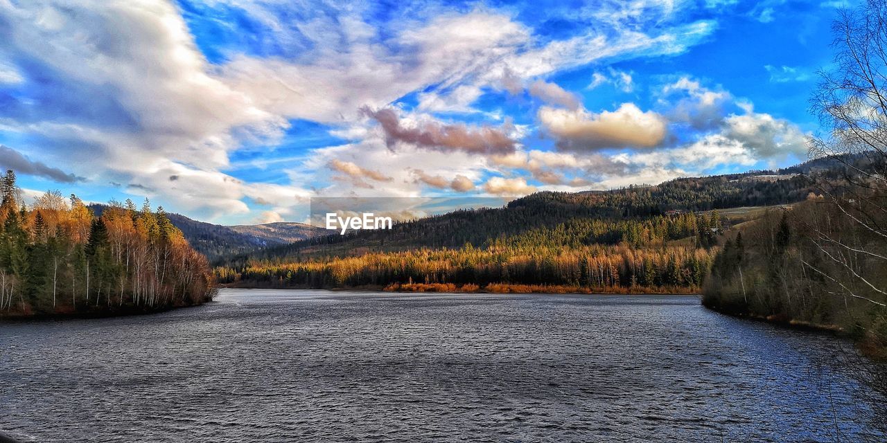 Scenic view of river amidst trees against sky