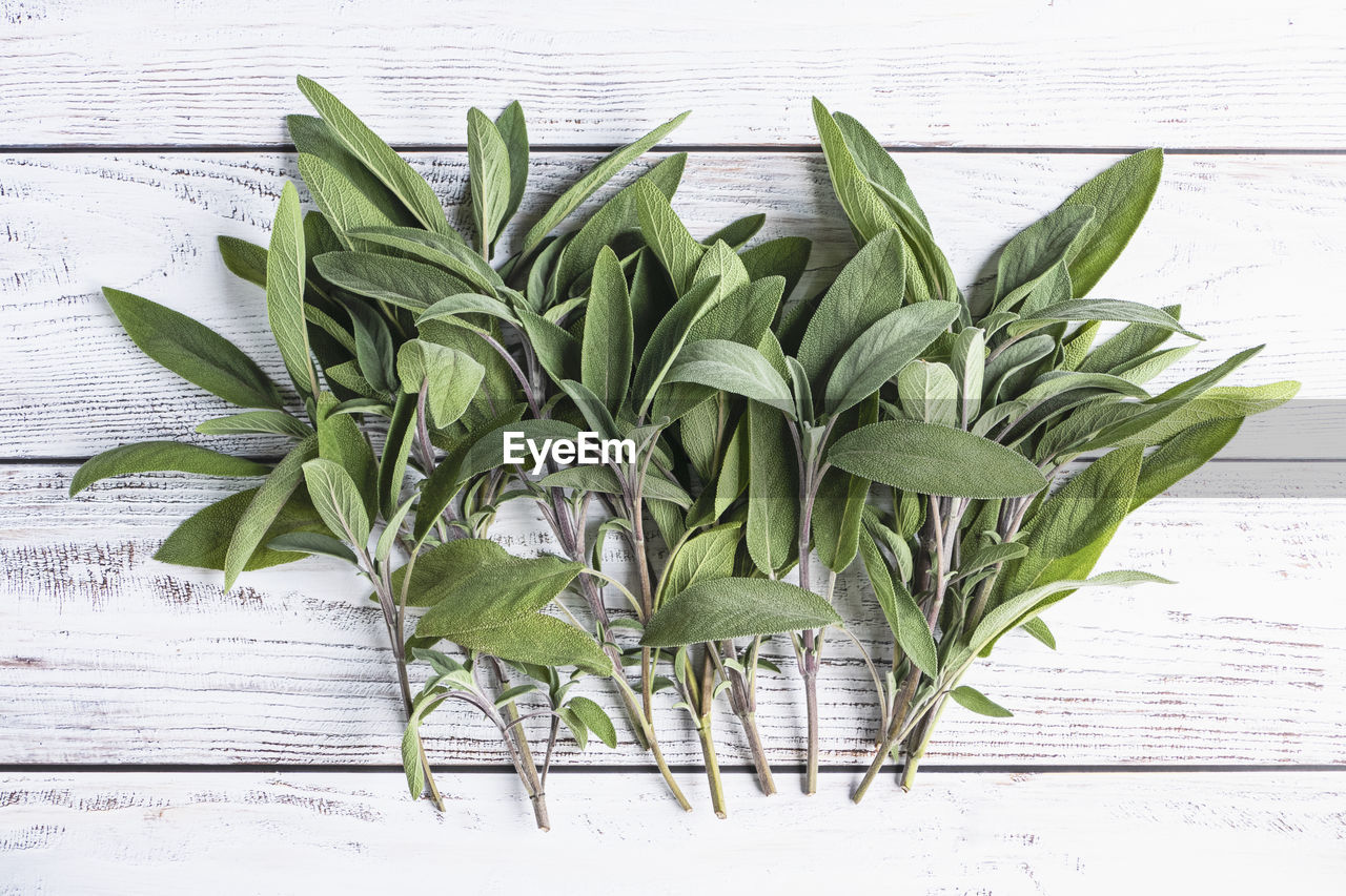 leaf, food and drink, food, plant, plant part, wood, green, herb, freshness, wellbeing, flower, no people, nature, healthy eating, indoors, produce, table, rosemary, studio shot, vegetable, close-up