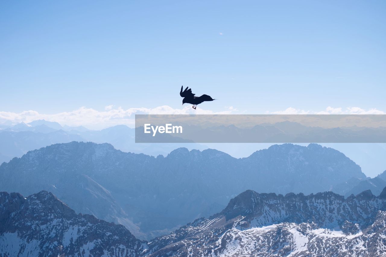 BIRD FLYING OVER MOUNTAINS