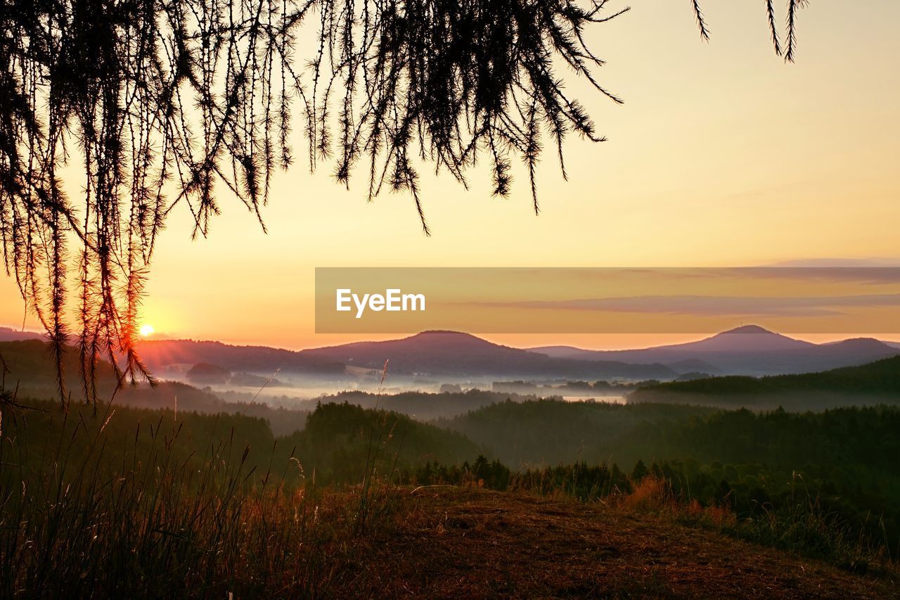 Sunrise morning meadow.