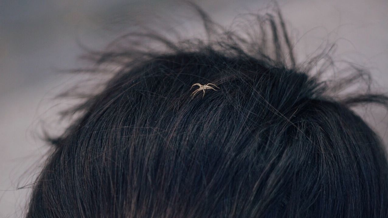 CLOSE-UP OF YOUNG WOMAN IN HAIR