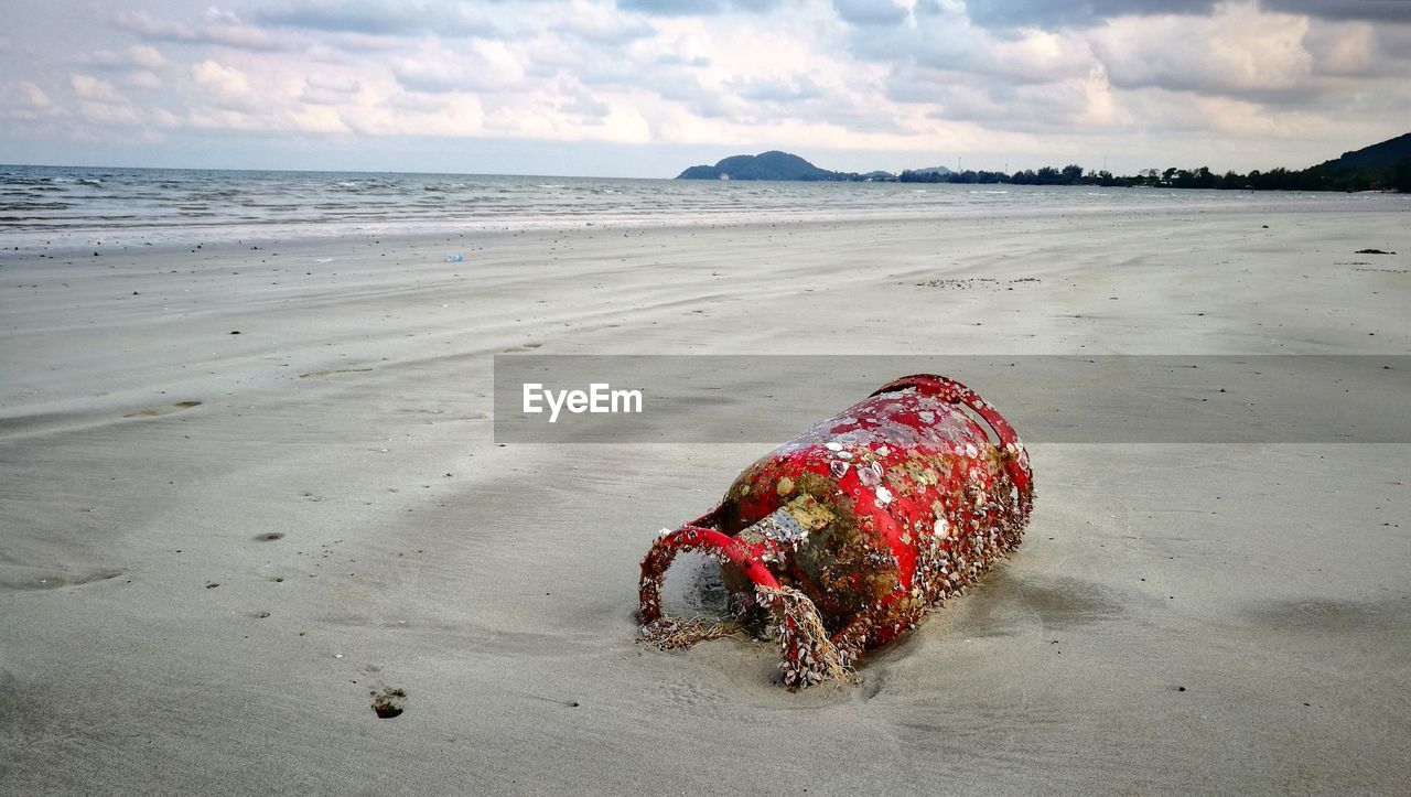 VIEW OF STARFISH ON BEACH AGAINST SKY