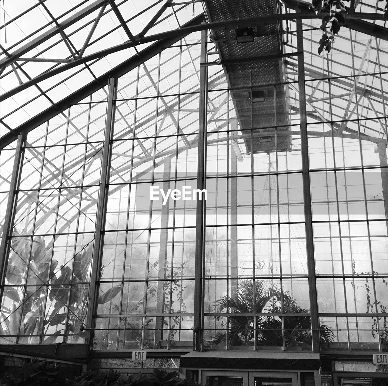 Interior of greenhouse