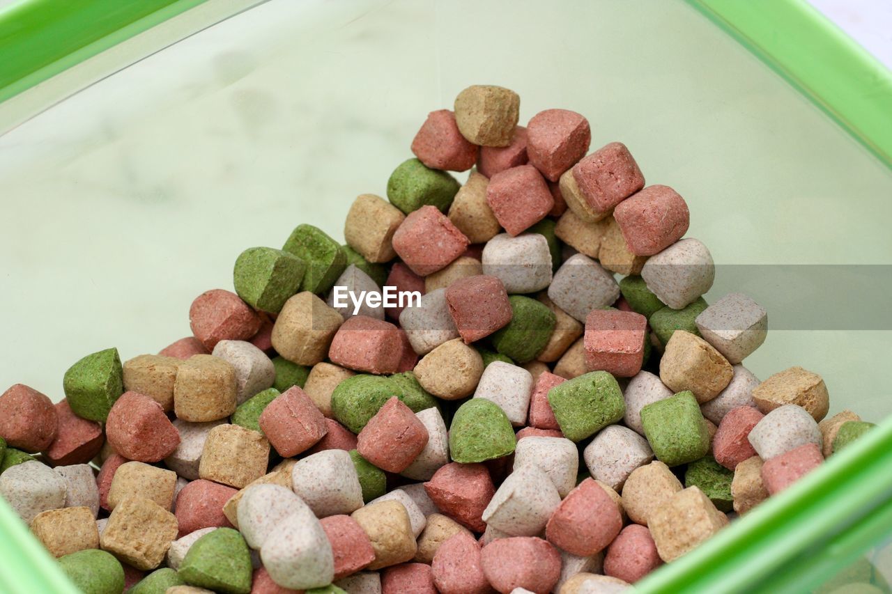 Close-up of dog food in container