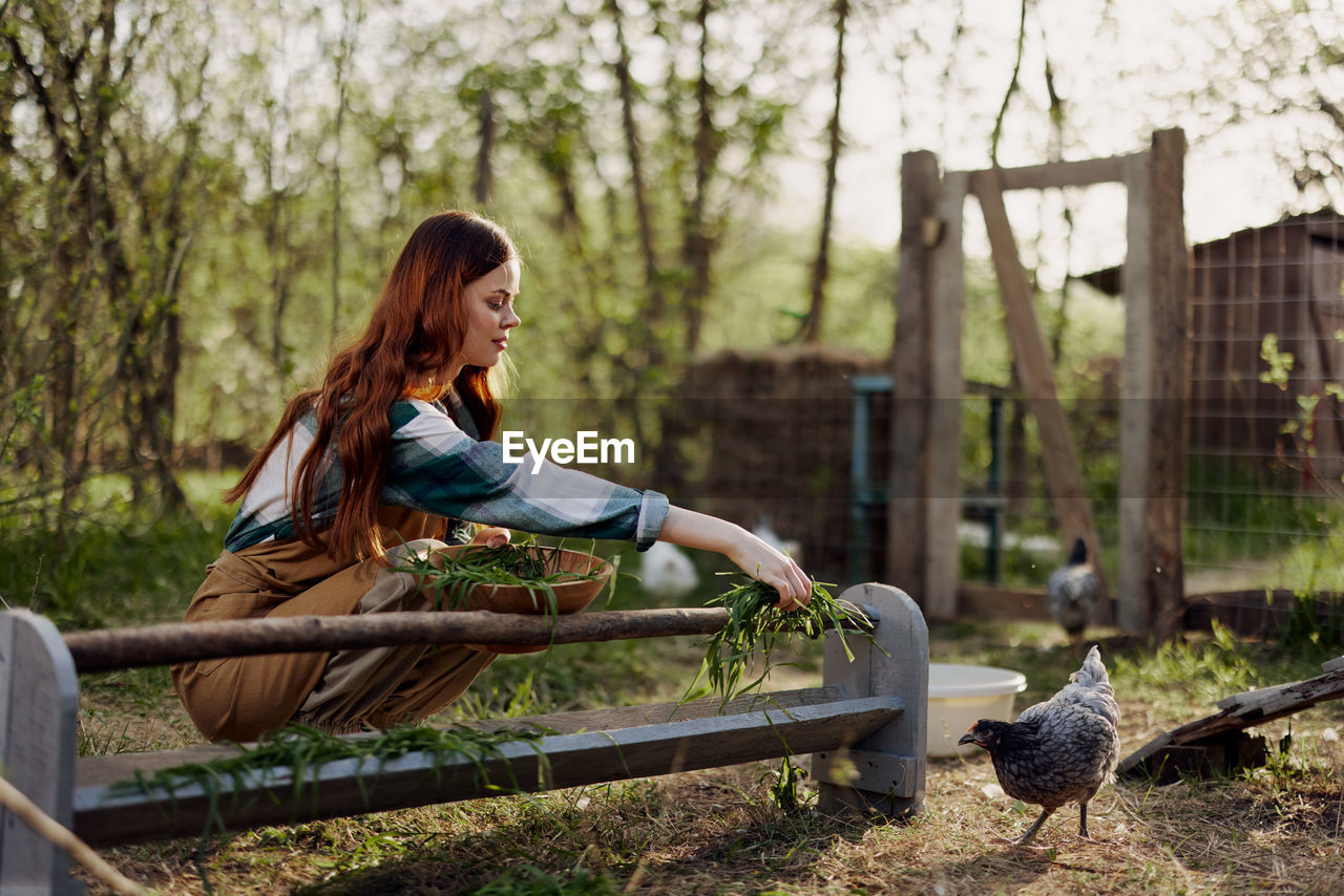 Smiling woman holding hen at farm