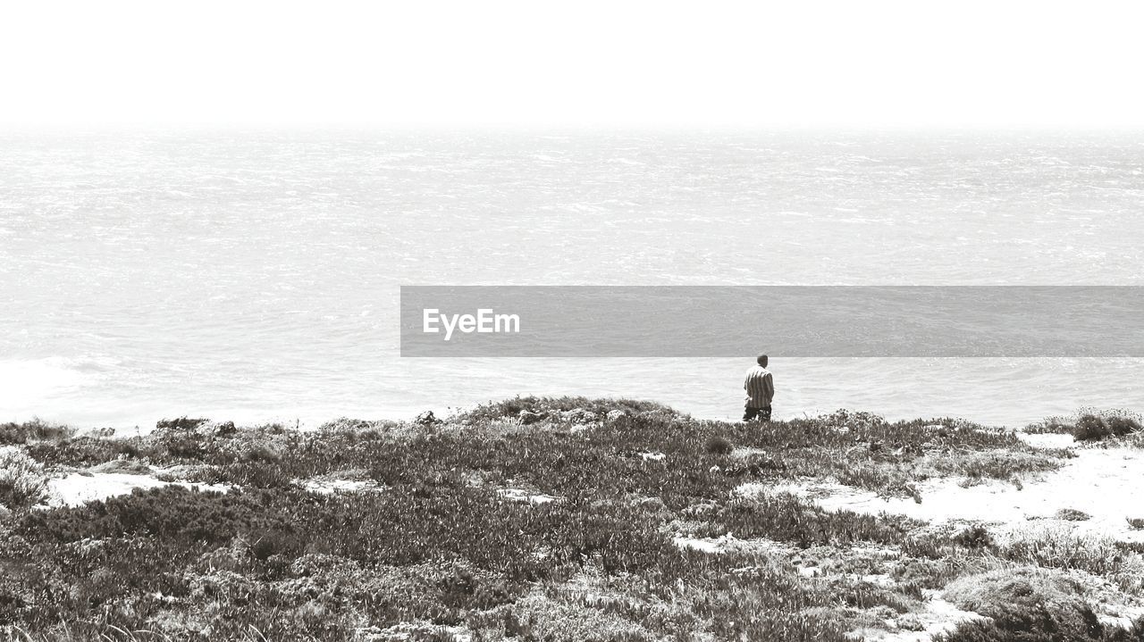 Rear view of man standing at shore