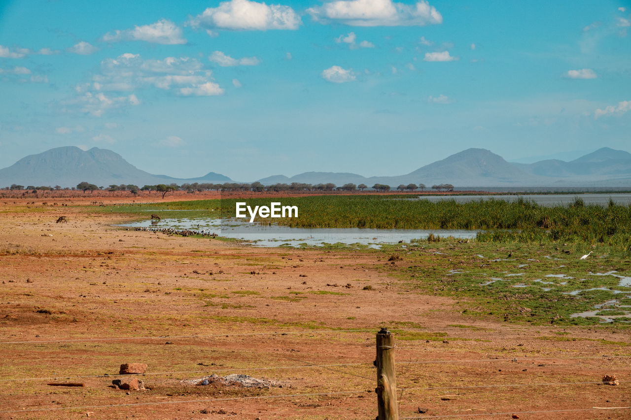 Scenic view of lake jipe at the border of kenya and tanzania seen from tsavo west national park