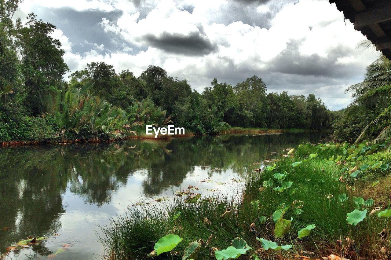 SCENIC VIEW OF LAKE BY TREES AGAINST SKY