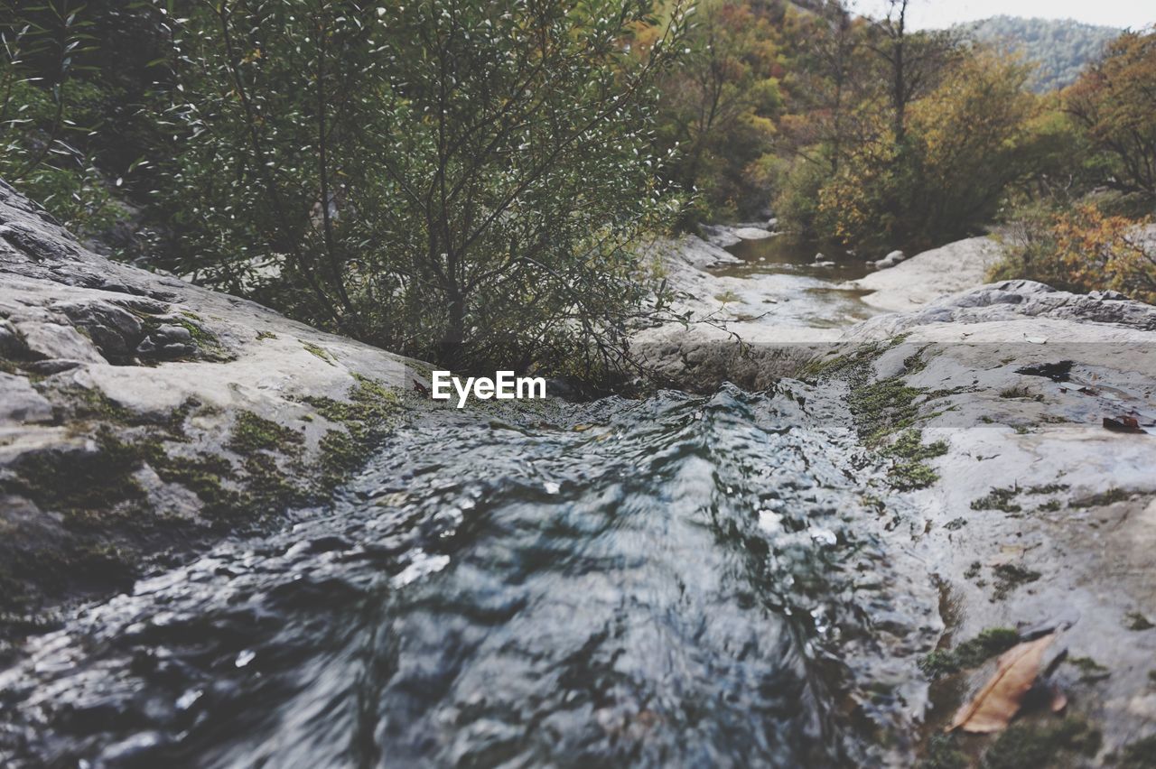 CLOSE-UP OF WATERFALL IN FOREST