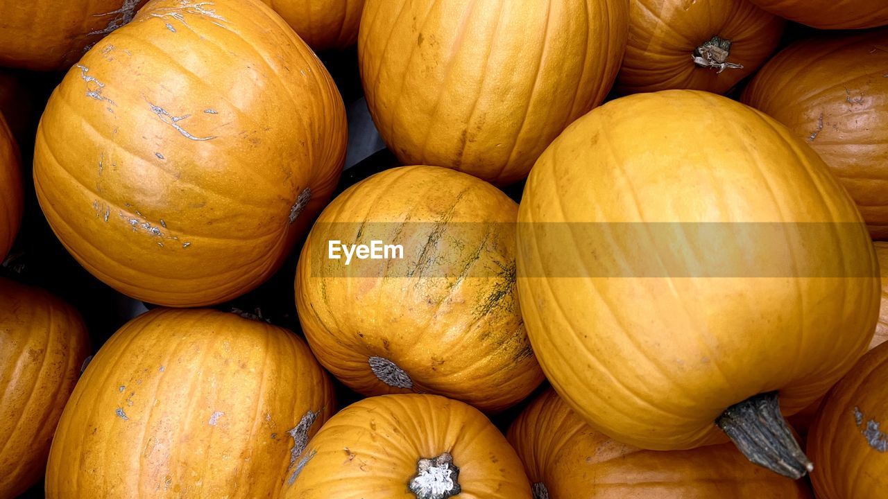 Full frame shot of pumpkins