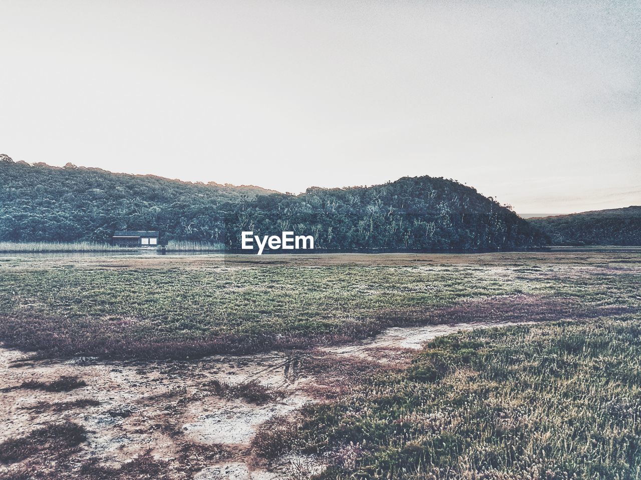 SCENIC VIEW OF FIELD BY MOUNTAINS AGAINST CLEAR SKY