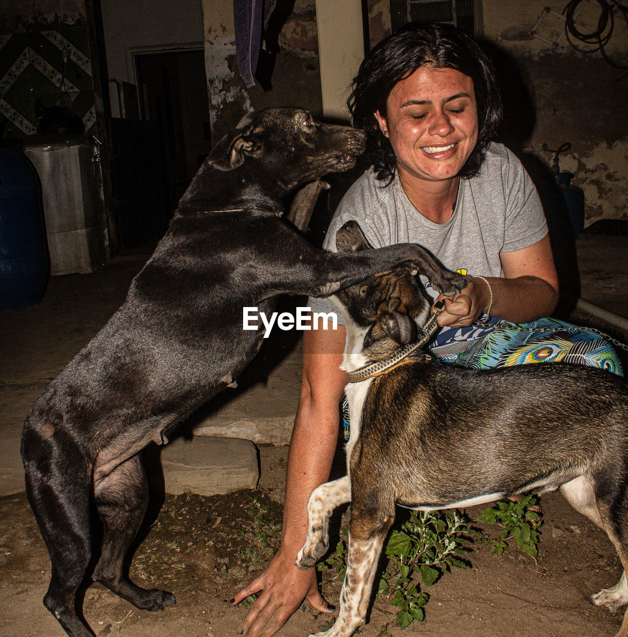 Smiling woman with dogs sitting outdoors at night