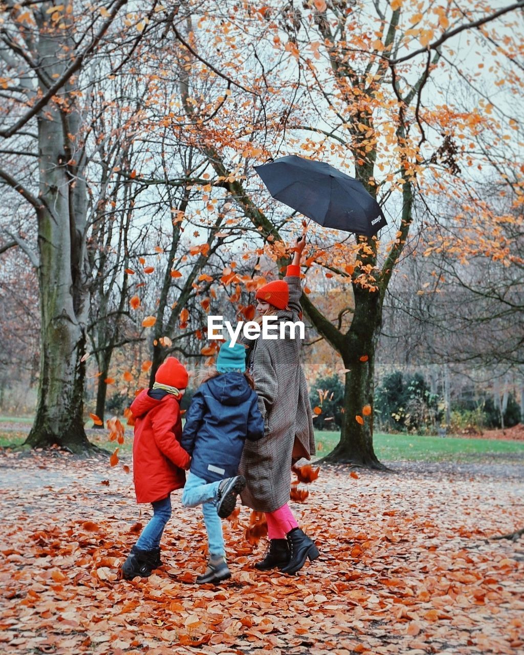 FULL LENGTH REAR VIEW OF BOY HOLDING UMBRELLA IN FOREST