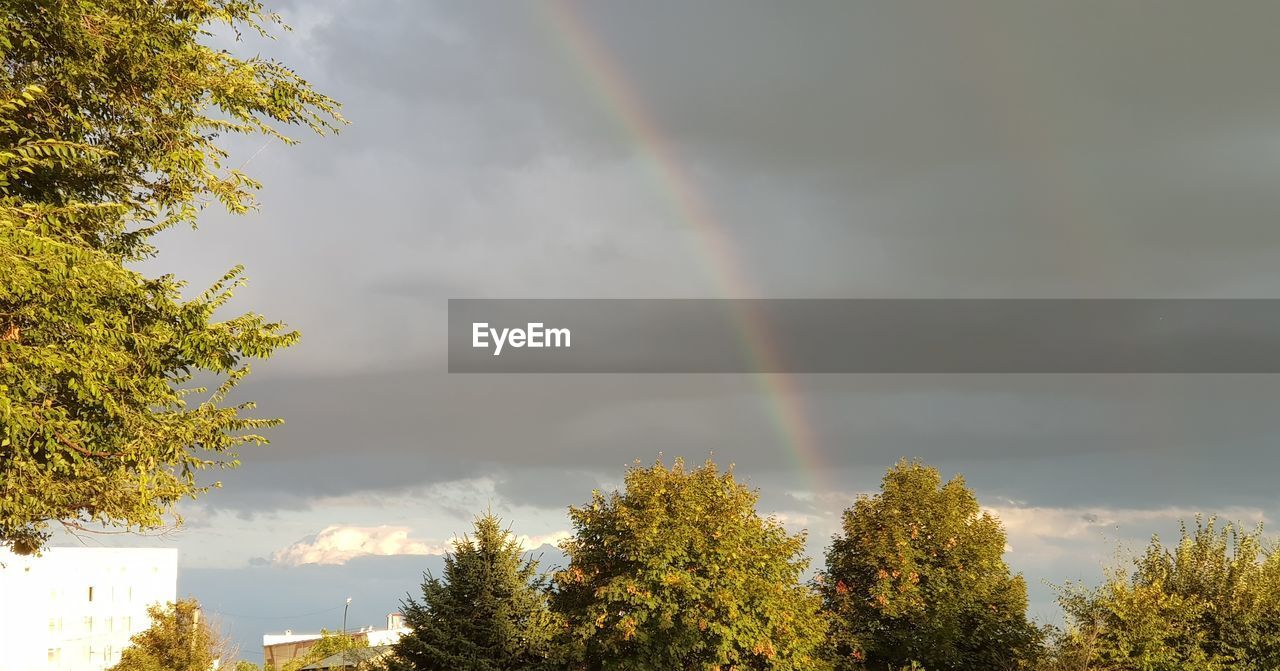 Low angle view of rainbow against sky