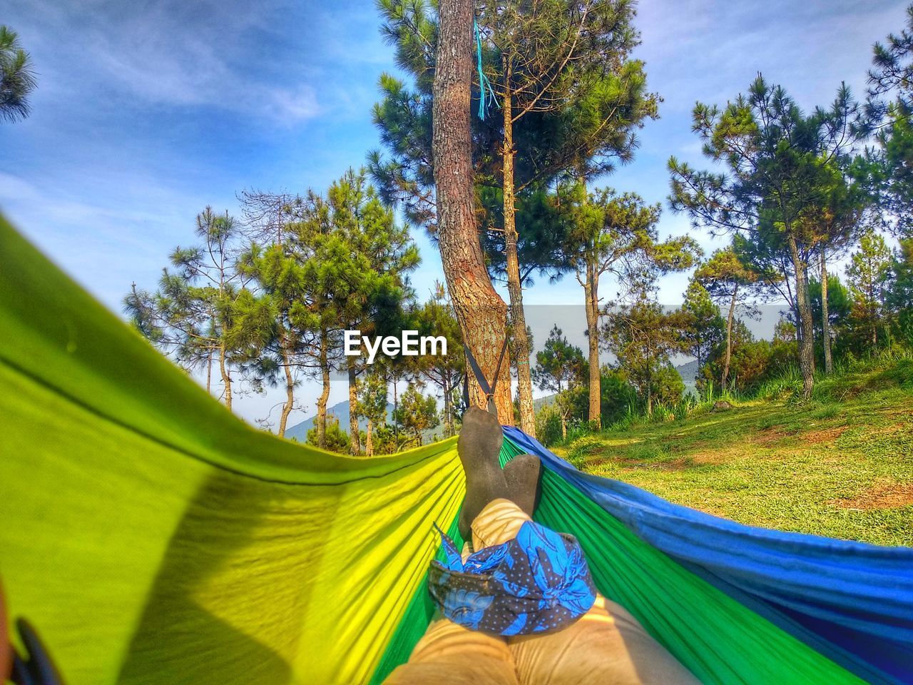 Low section of person resting on hammock in forest