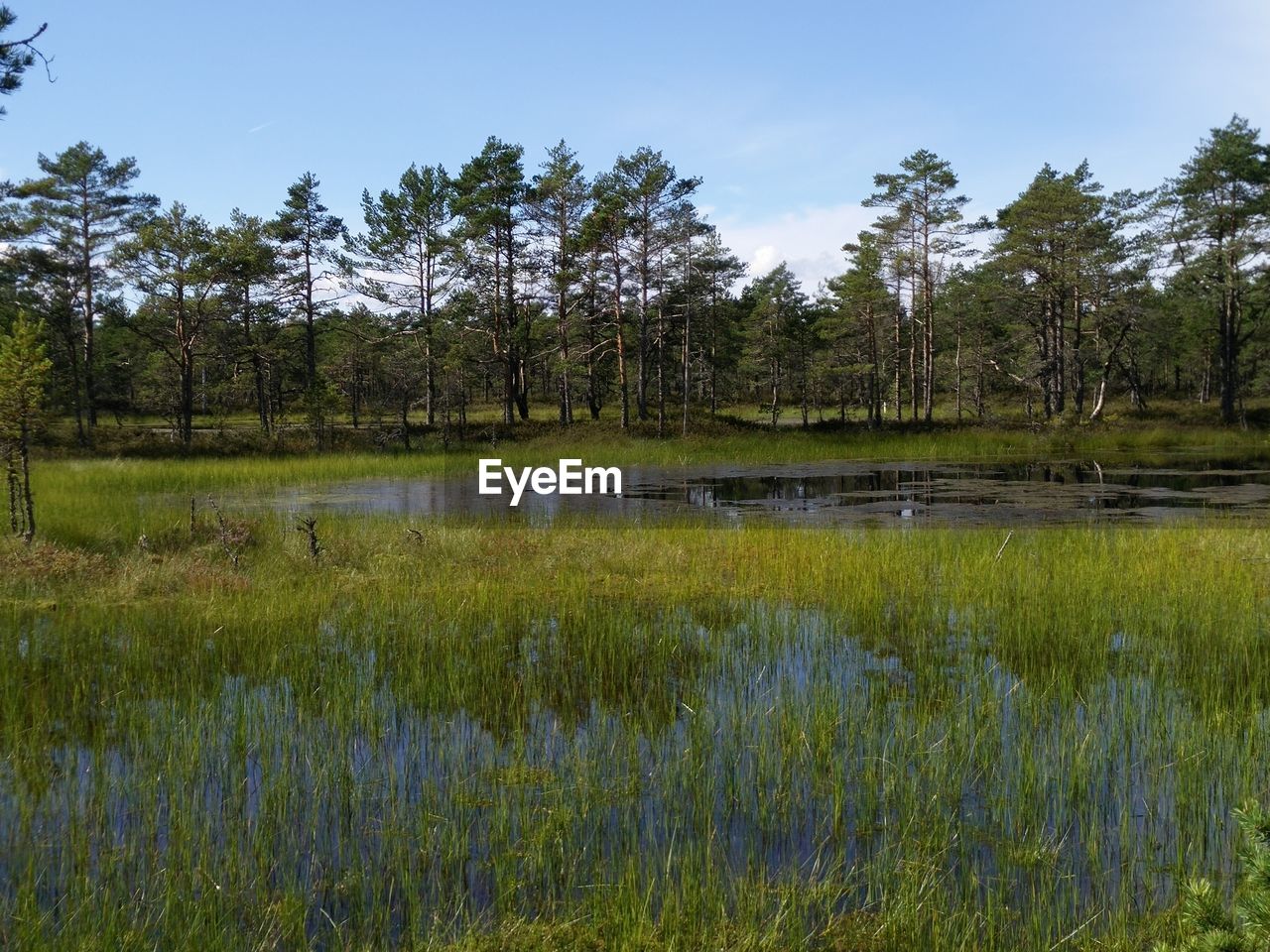 SCENIC VIEW OF LAKE