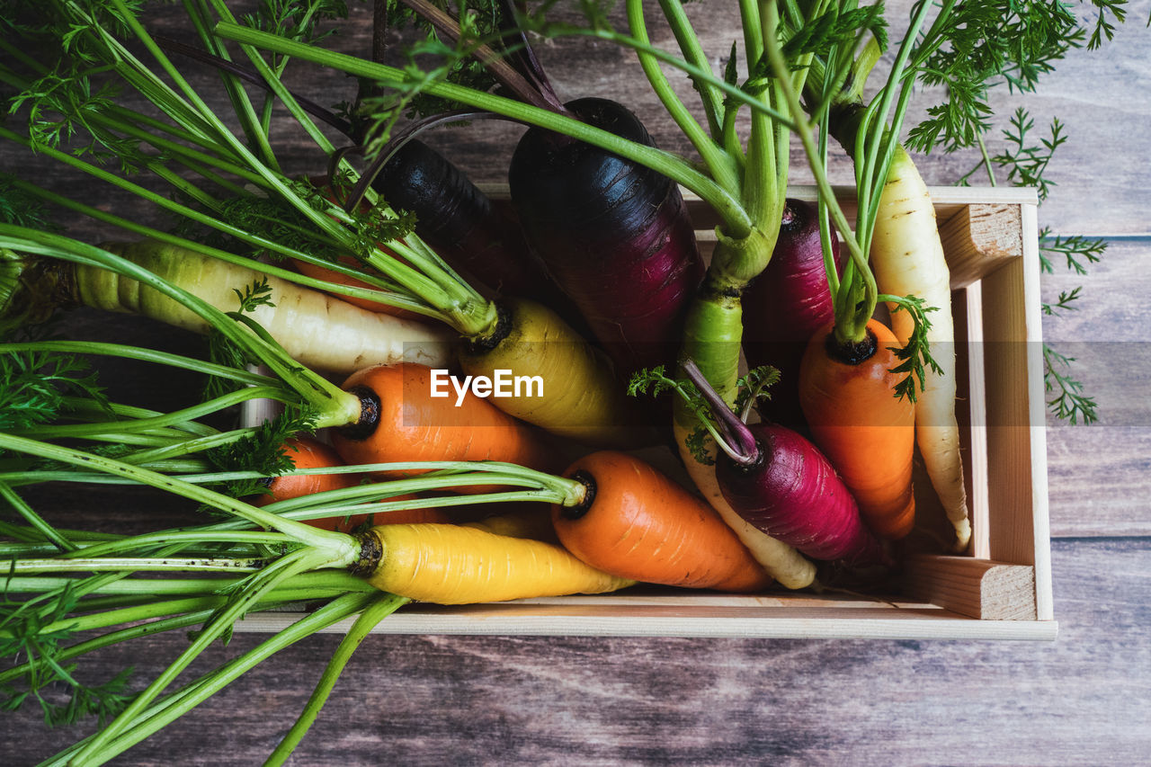 Rainbow carrots in wooden box, homegrown veggies on kitchen table