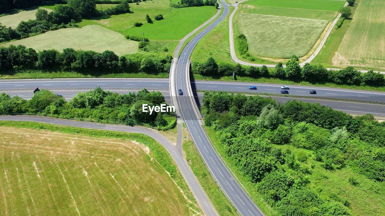 HIGH ANGLE VIEW OF ROAD AND TREES