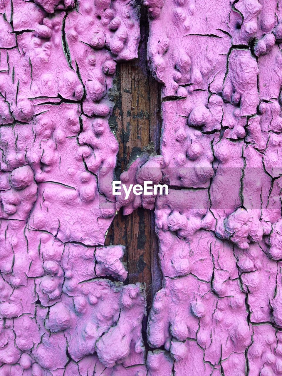 Full frame shot of purple patterned wall