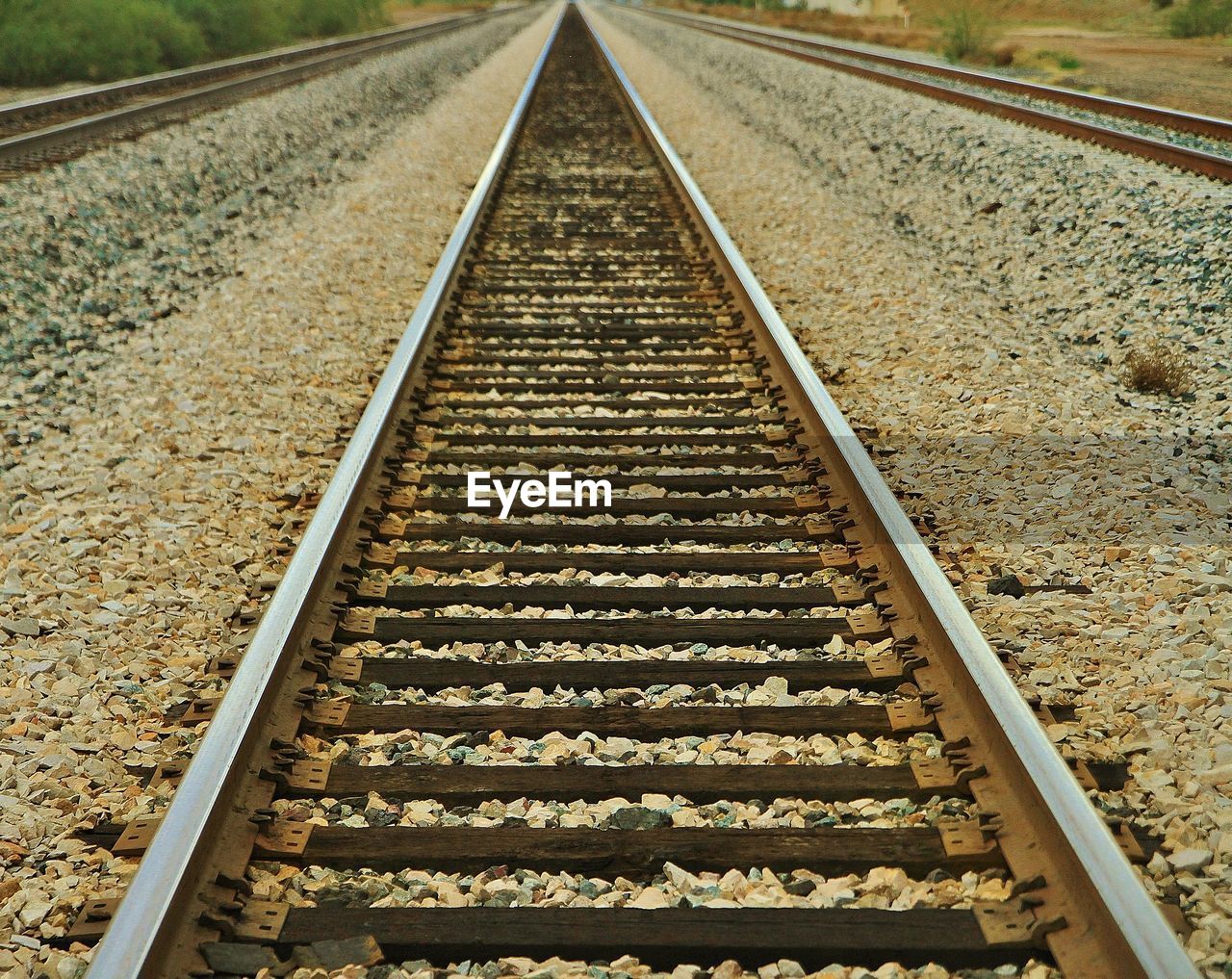 Diminishing view of railroad track on field