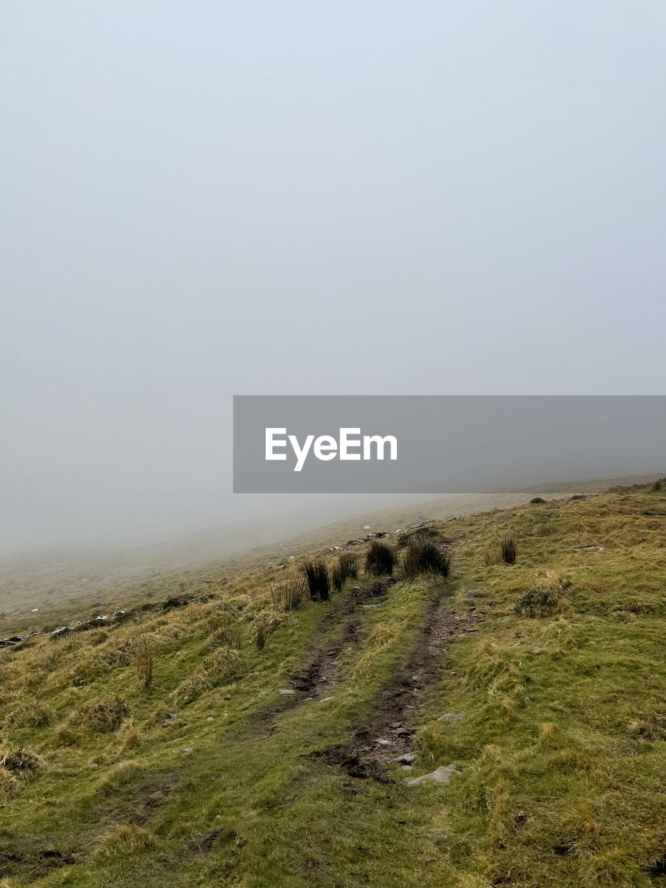 SCENIC VIEW OF LANDSCAPE