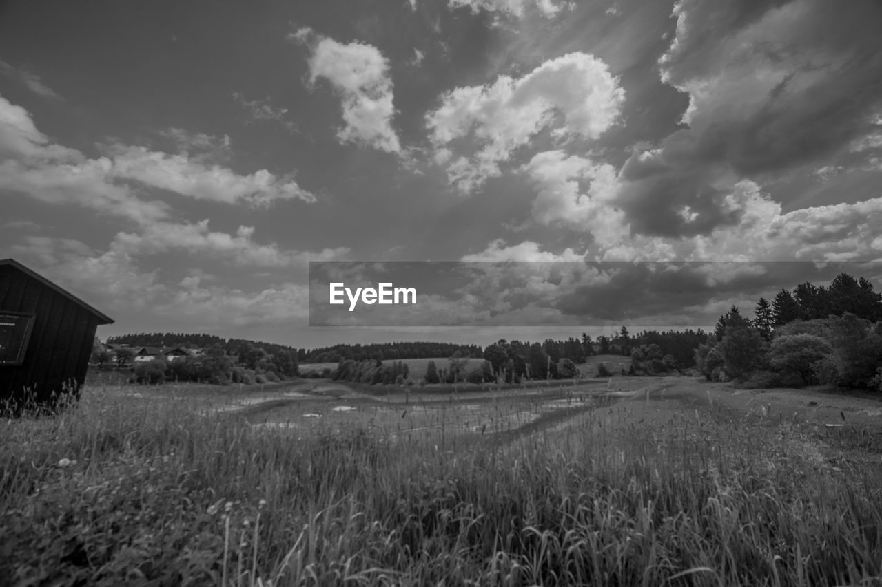 FIELD AGAINST SKY