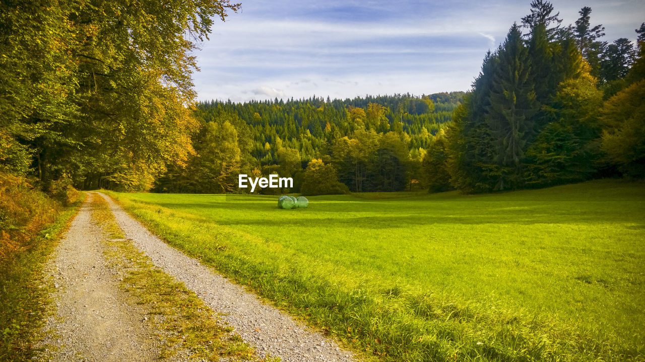 Scenic view of golf course against sky