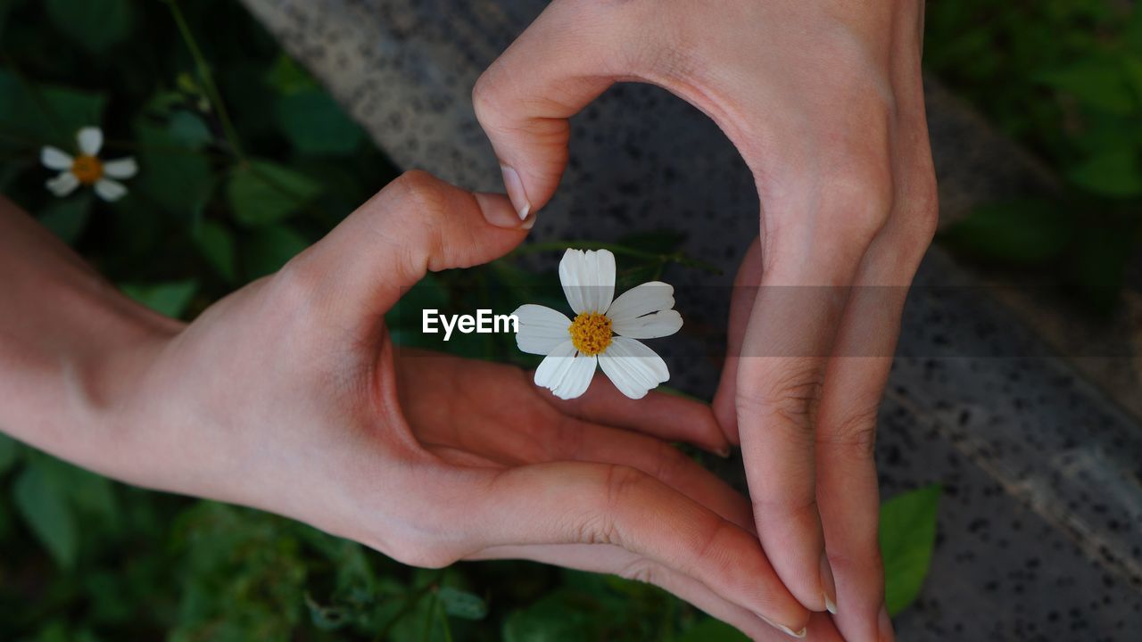 Close-up of hand making heart gesture