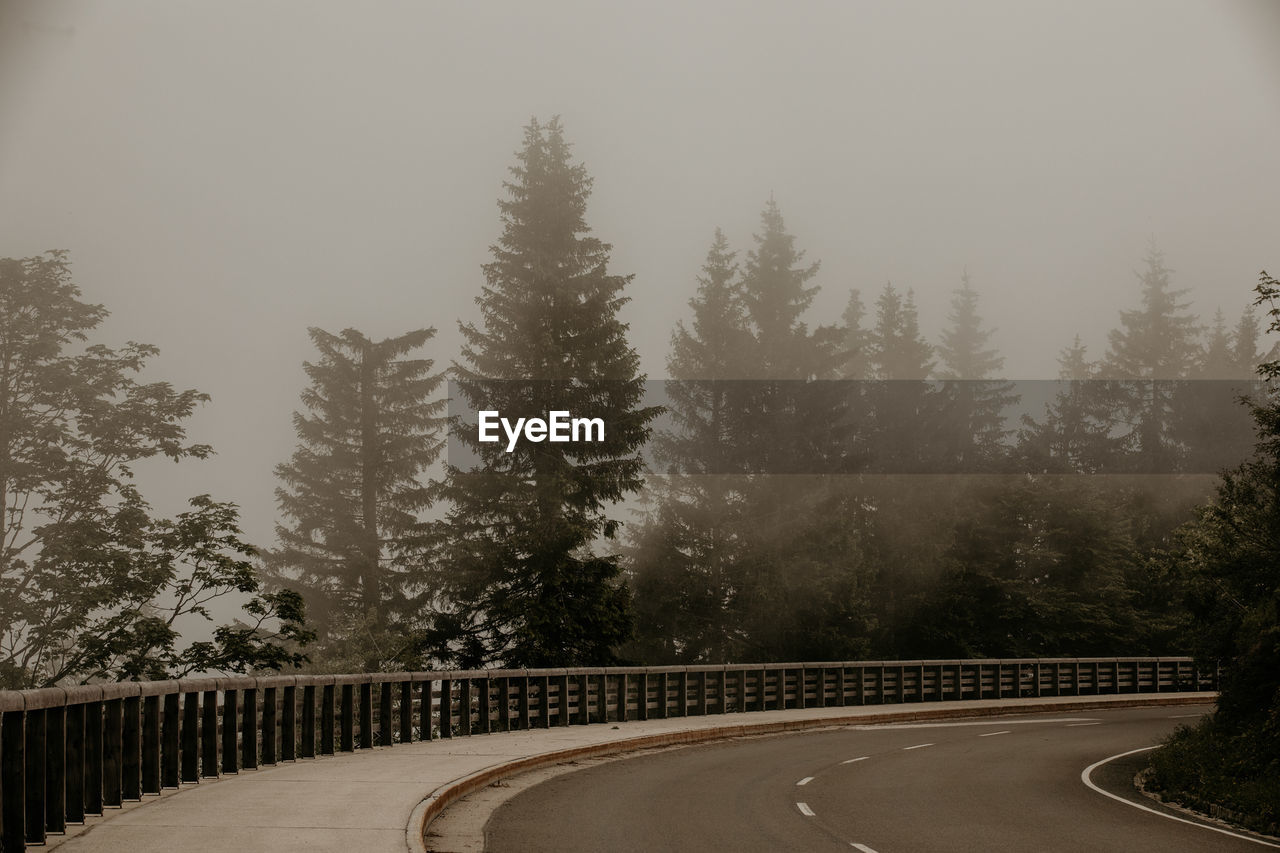 Empty road amidst trees against sky