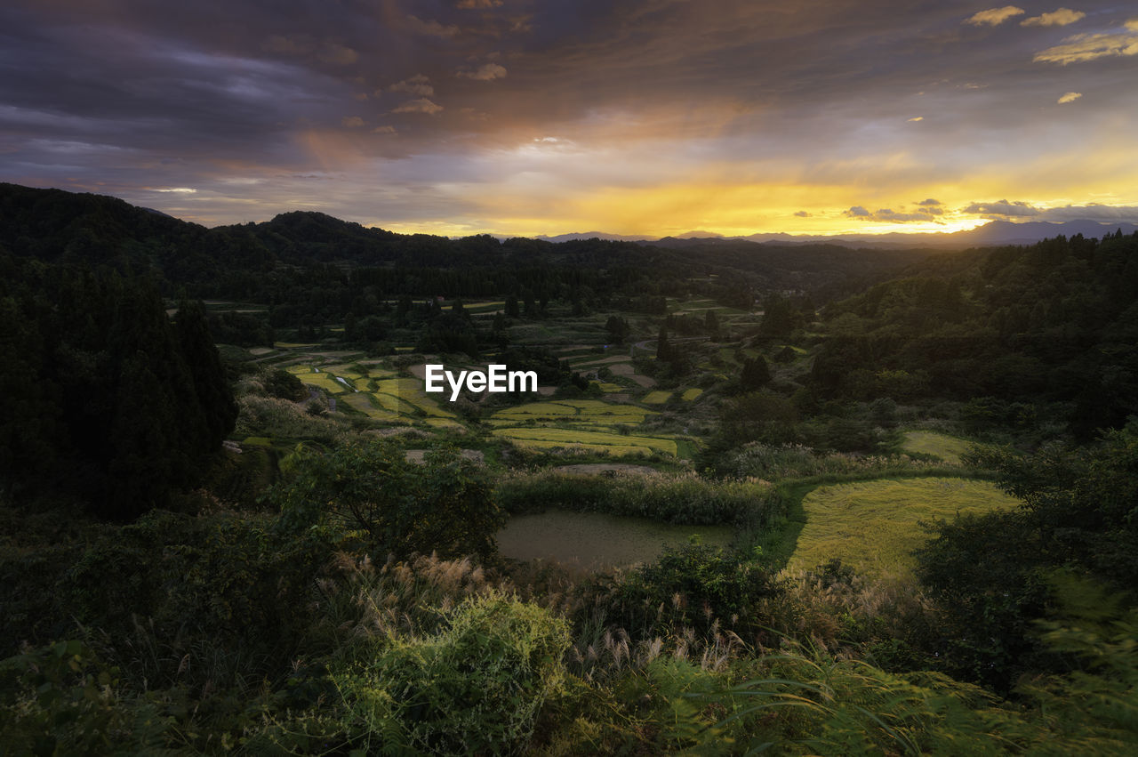 SCENIC VIEW OF LANDSCAPE DURING SUNSET