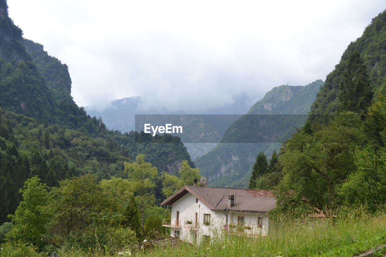 SCENIC VIEW OF MOUNTAINS AND TREES AGAINST SKY