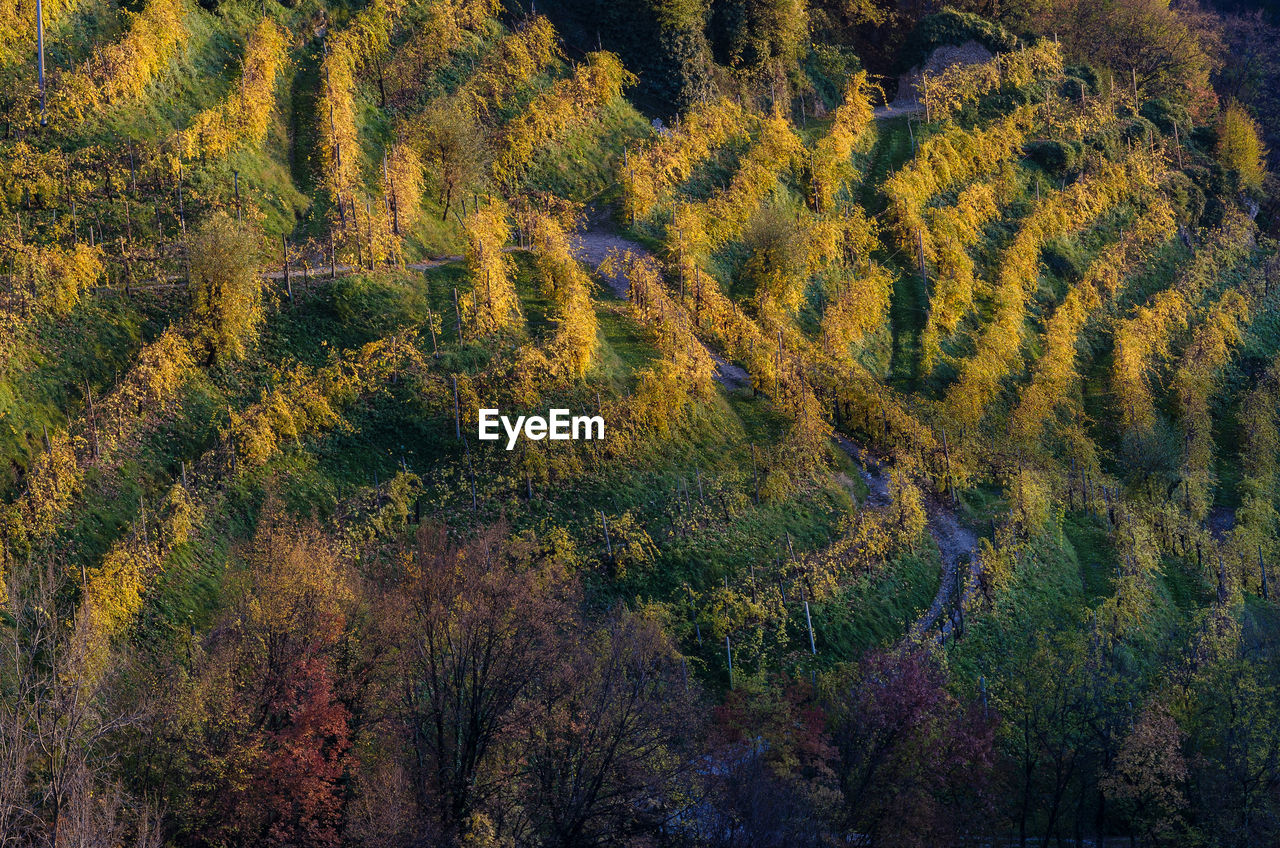 High angle view of countryside landscape