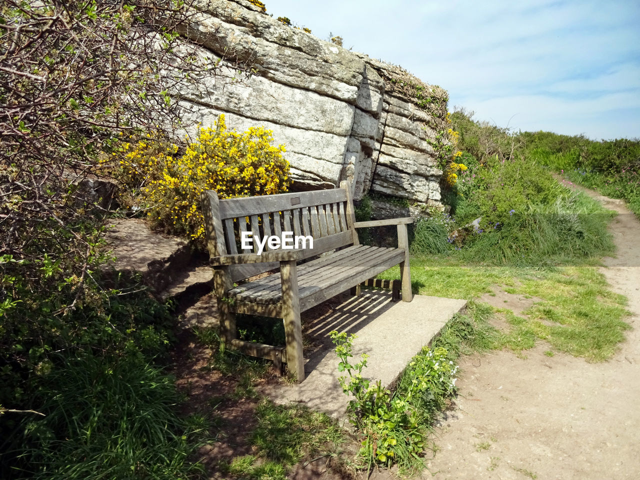 Empty bench on field by trees against sky