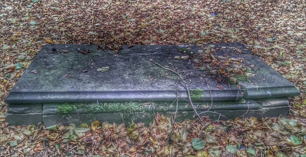 Fallen leaves on tomb