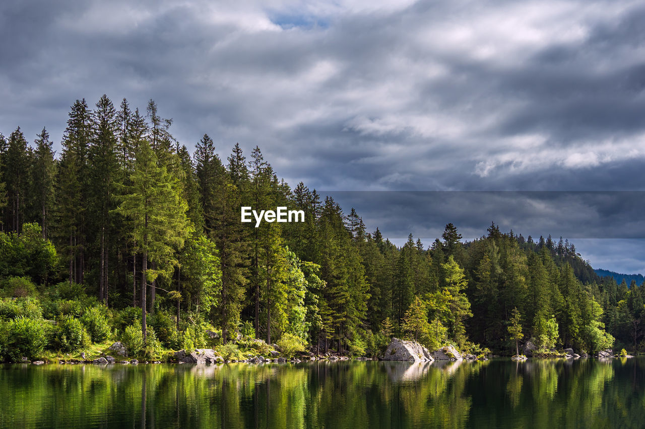 TREES BY LAKE AGAINST SKY