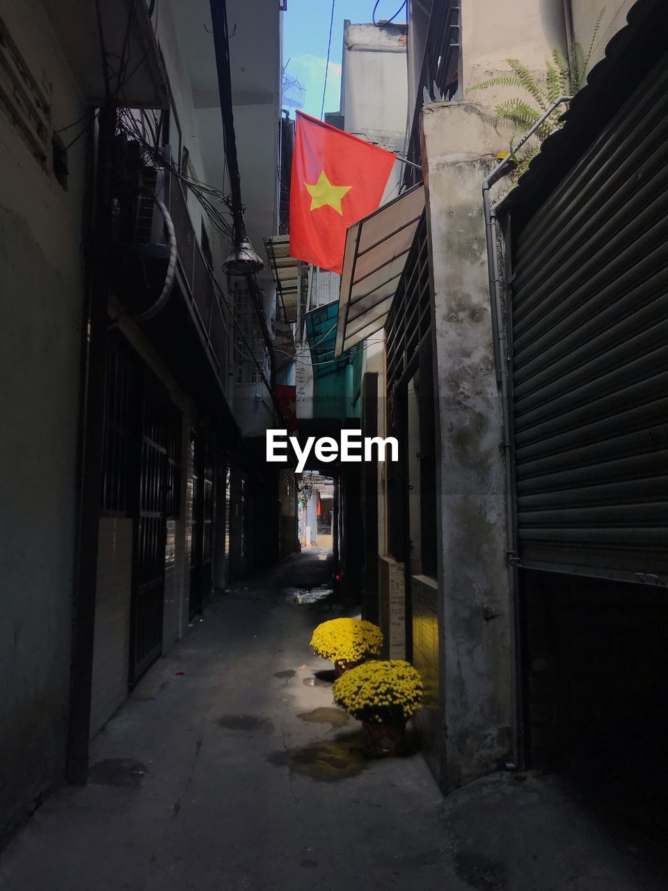 Narrow alley amidst buildings in city