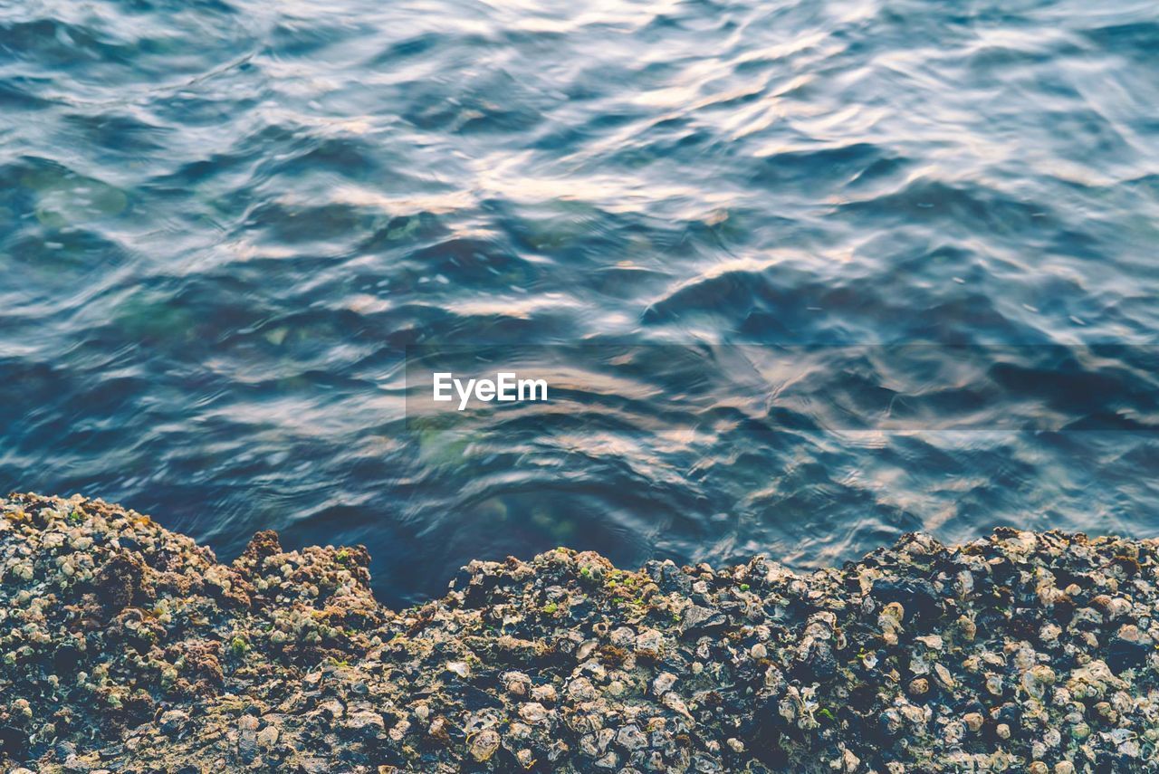 High angle view of rock by sea