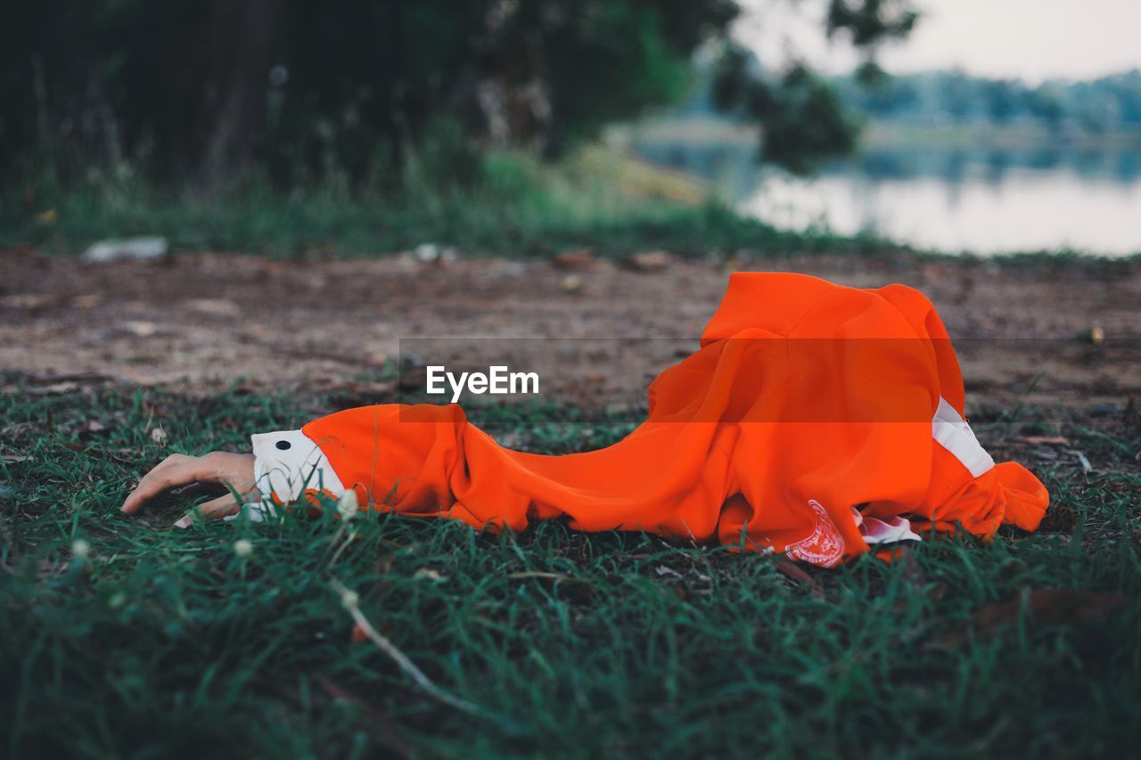 VIEW OF ORANGE FLOWER LYING ON FIELD