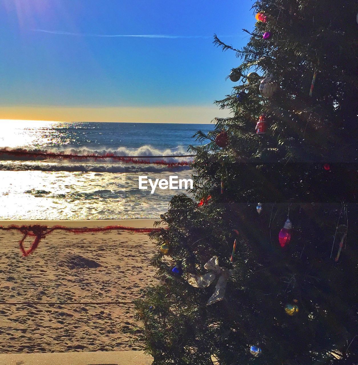 Christmas tree at beach against sky