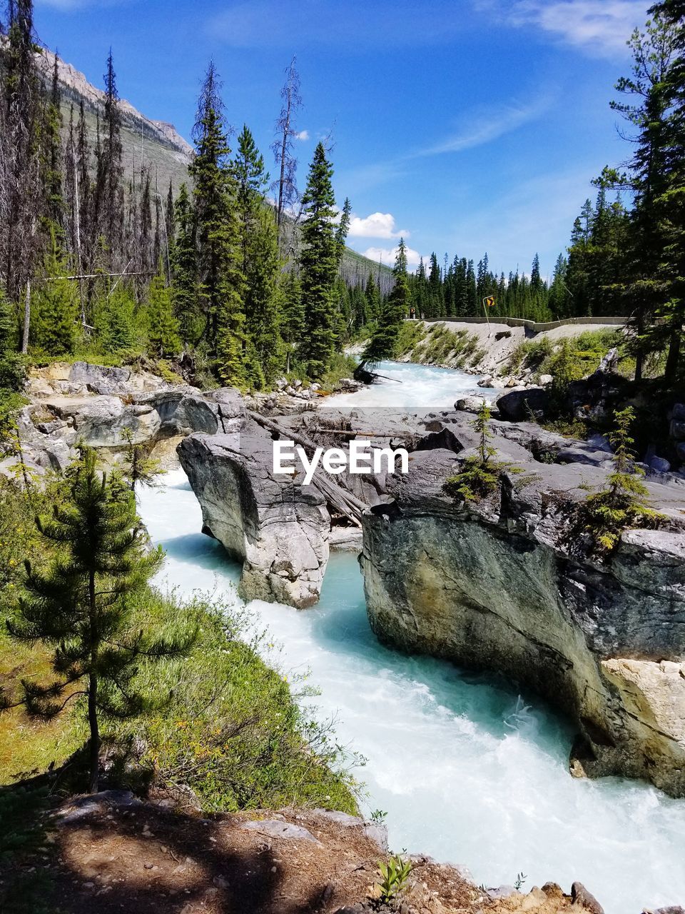 Scenic view of waterfall in forest against sky