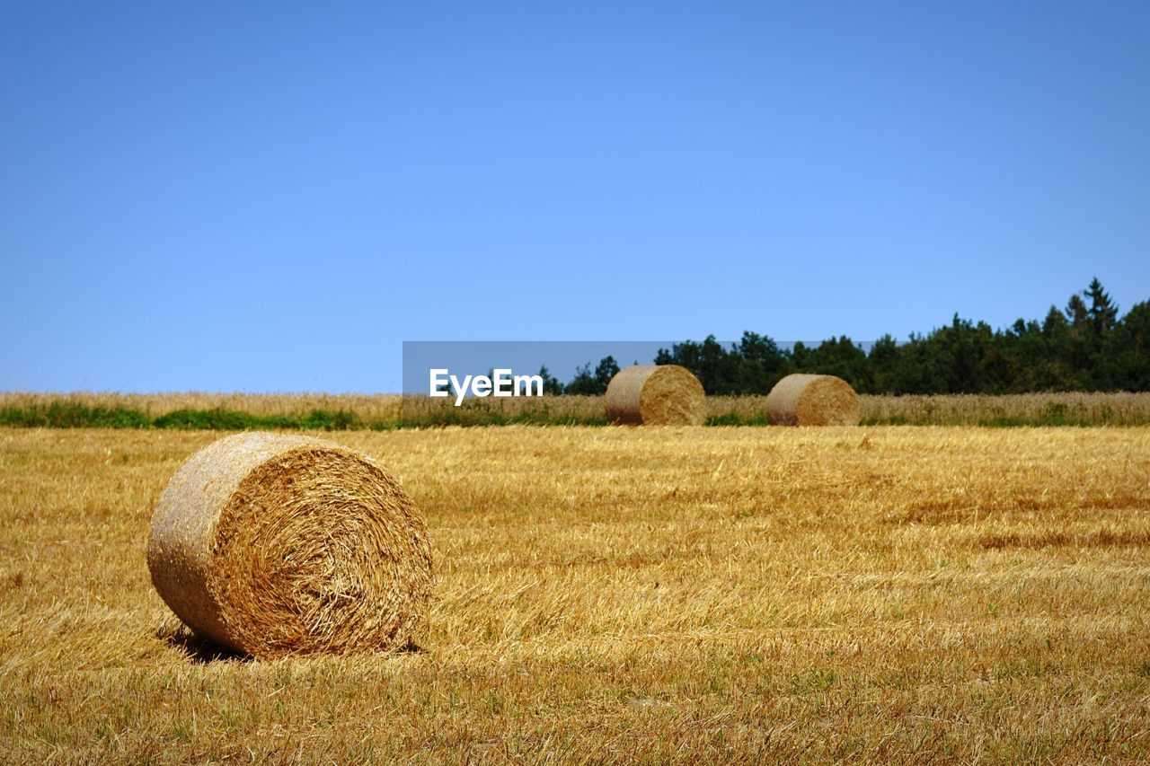 Hay bales on field